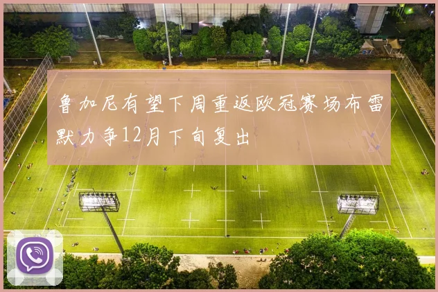 鲁加尼有望下周重返欧冠赛场布雷默力争12月下旬复出